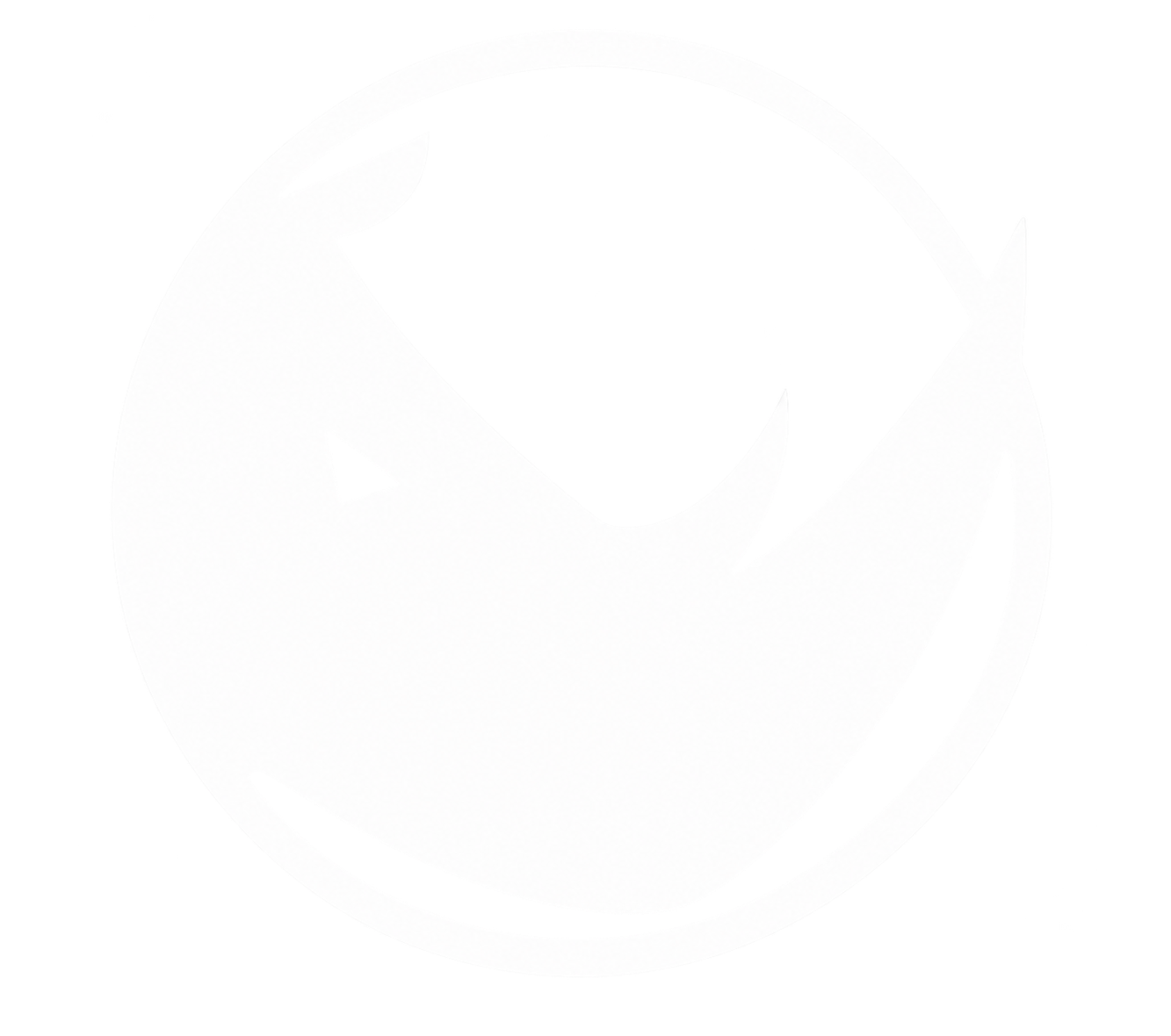 Rhino Coaching